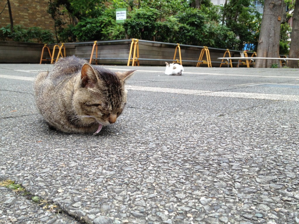 一時帰国日誌2015