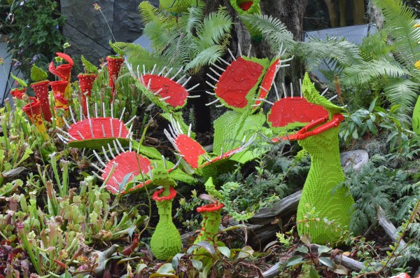 アジアツアー2015 シンガポール　植物園