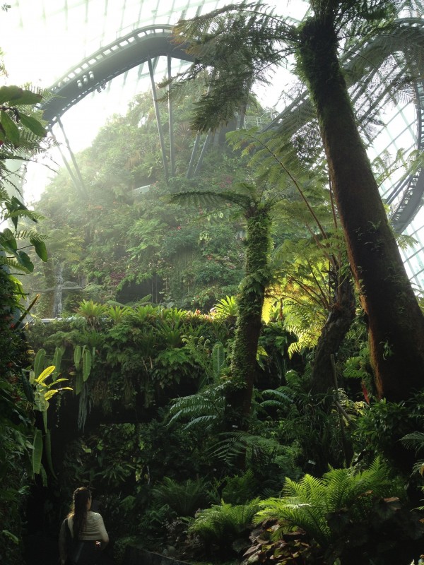 アジアツアー2015 シンガポール　植物園