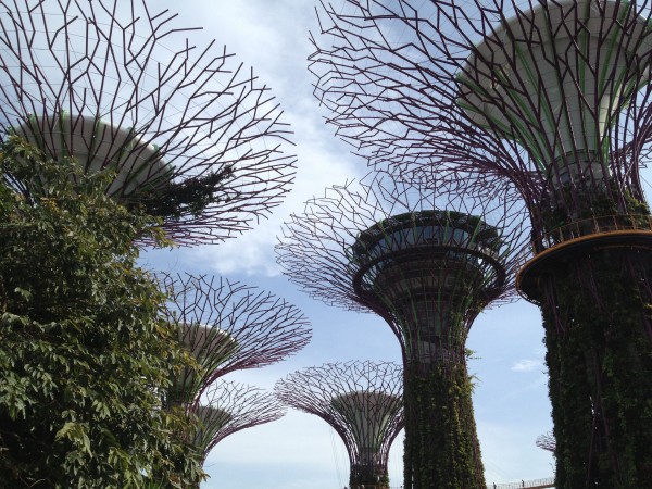 アジアツアー2015 シンガポール　植物園