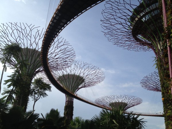 アジアツアー2015 シンガポール　植物園