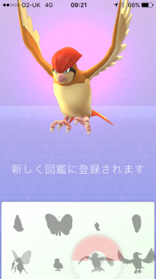 ポケモンGO