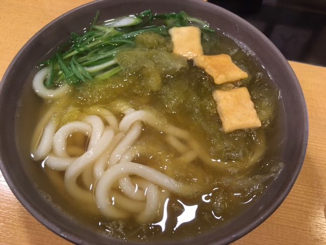 一時帰国 2017 うどん