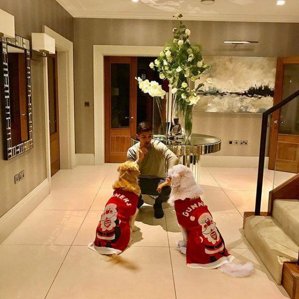 アレクシス・サンチェス 犬 クリスマスジャンパー
