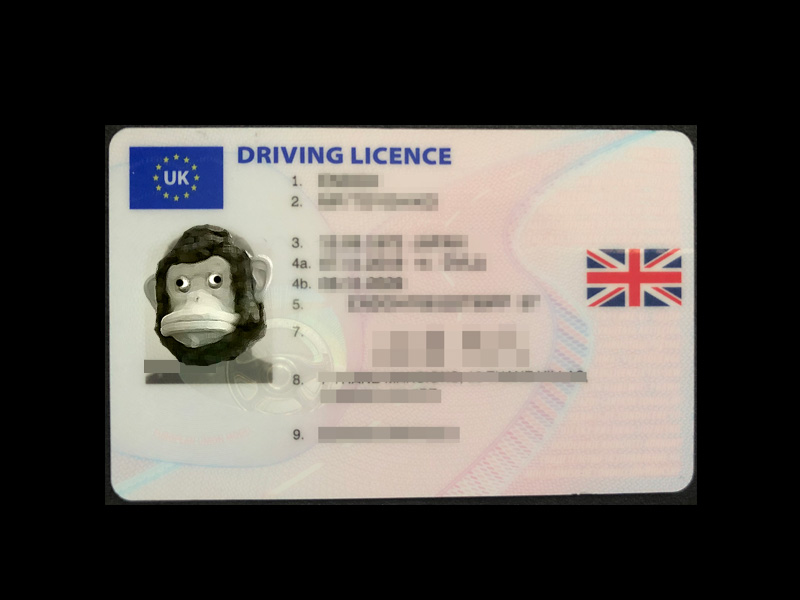 イギリス 免許証 Drivers Licence