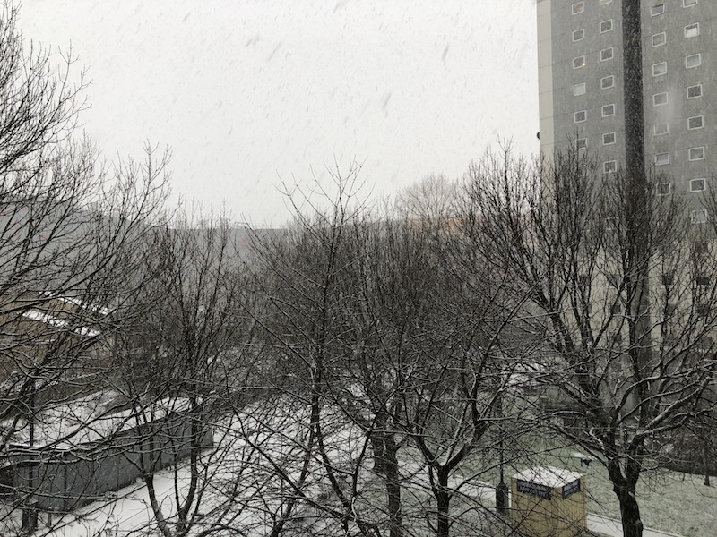 エミレーツ・スタジアム ロンドン 雪